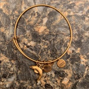 Alex and Ani dolphin bracelet